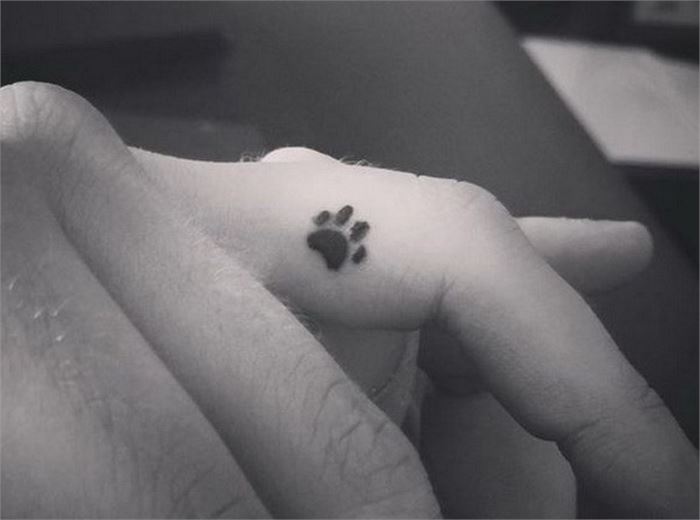 puppy paw design