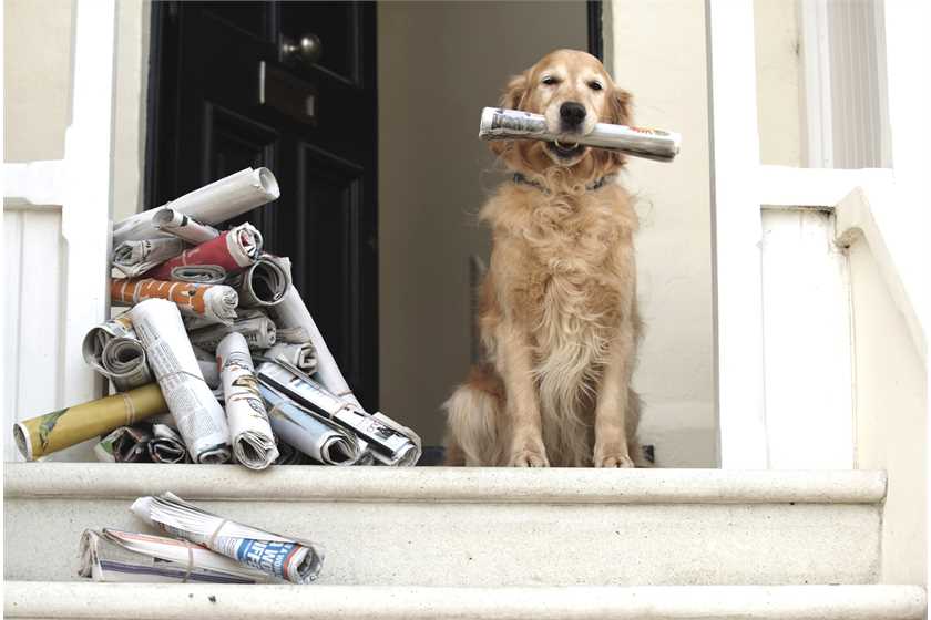 A good and complete newspaper