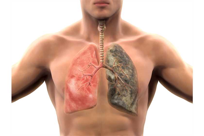 How does smoking affect to lung functionality?