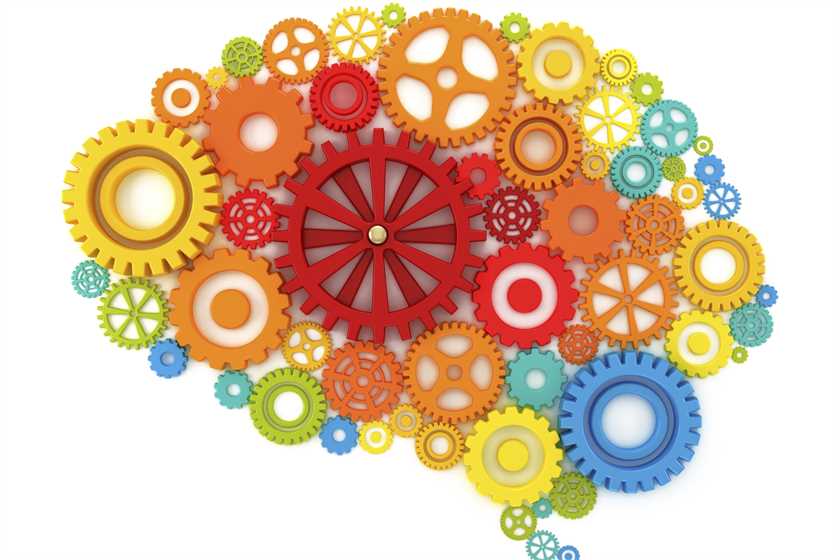 Should we study elementary psychology to lead a happy life?