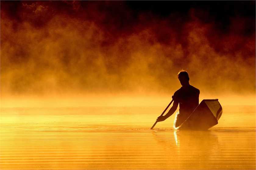 What's the Purpose of Life?