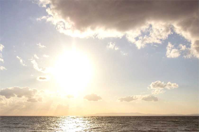 Foods that fight Sun damage