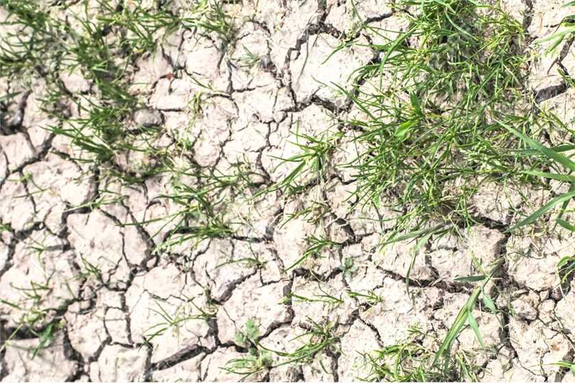 Methods of preventing soil erosion