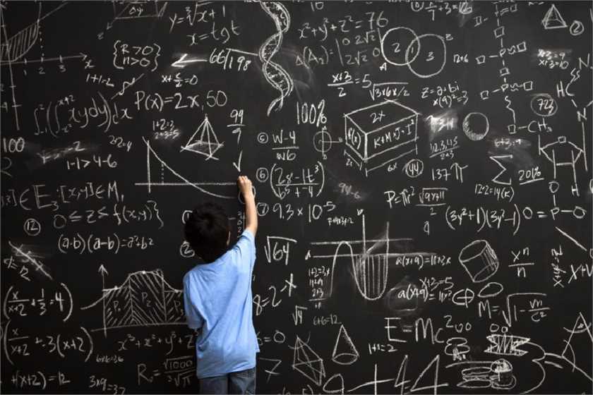 Top Algorithms Used by Data Scientists