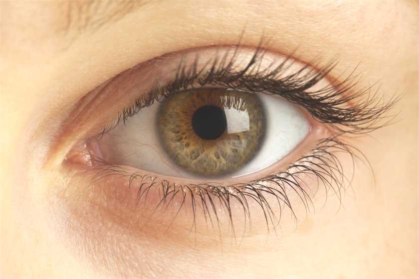 What is color blindedness?