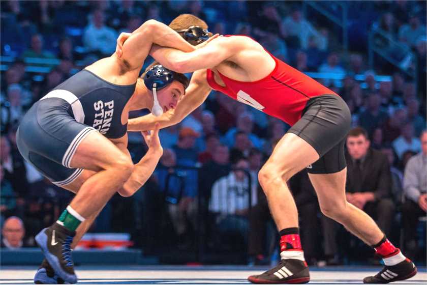 Which is more entertaining pro wrestling? Thai kick boxing? Japanese sumo?