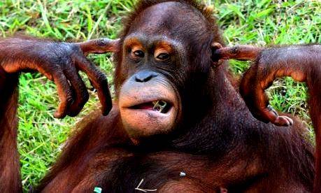 No matter what you say, people will only hear what they want to hear.