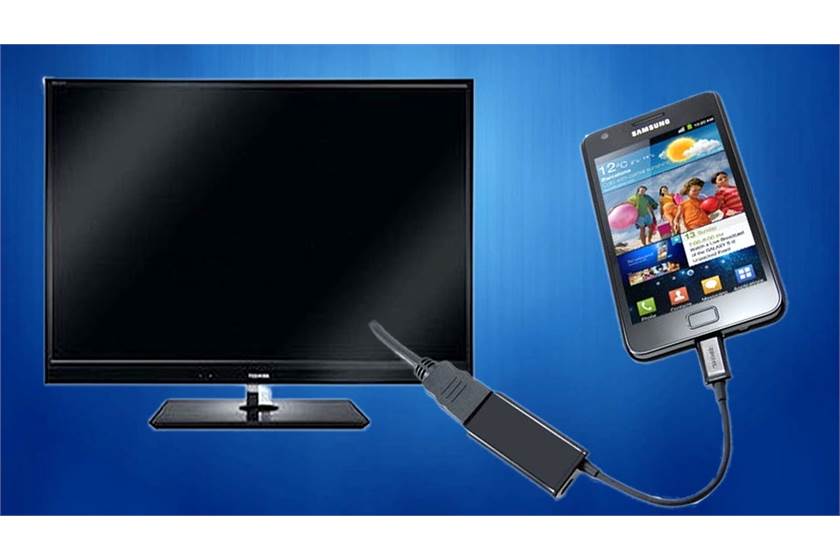 You can give up which one of the following things?