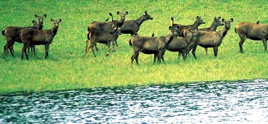 Why the National parks are developed?