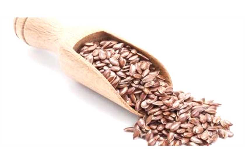 Nutrition for breast cancer patients and survivors