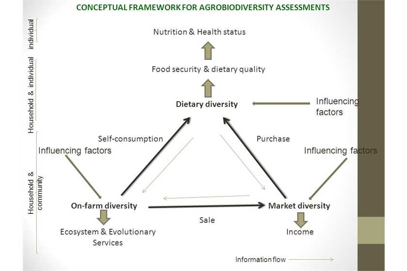 Dietary Diversity Score can reflect nutritional status of children
