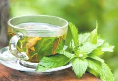 Cup of Green tea could prevent deadly artery explosion.