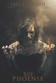 Imi Stoglin: Rise of the Phoenix