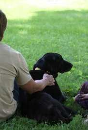 Untitled Clancy Sequel