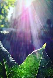 Keep an Eye on Your Soul