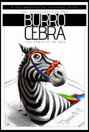 The Photographer and the Zebra Donkey