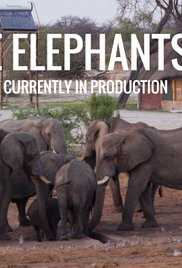 Where Elephants Rule