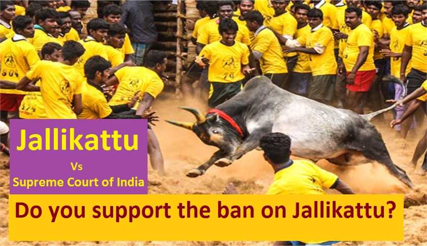 What is Jallikattu and why is it so controversial?