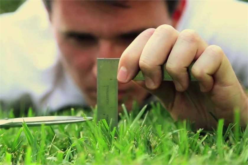 Why you should Stop being a Perfectionist Right Now?