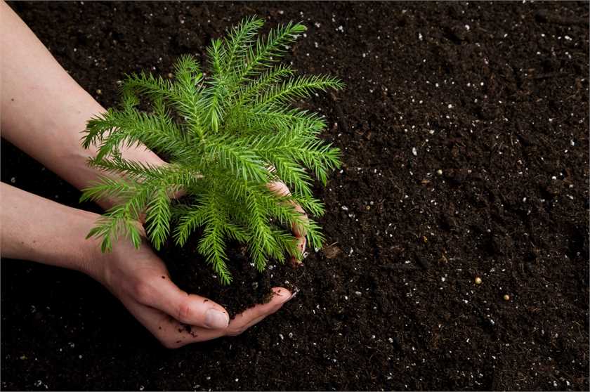 Which is more important, increasing people's standard of living, or protecting the environment?