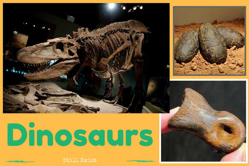 Do you believe that dinosaurs still exist in remote regions of the world?