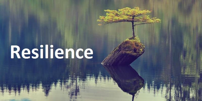 Resilience