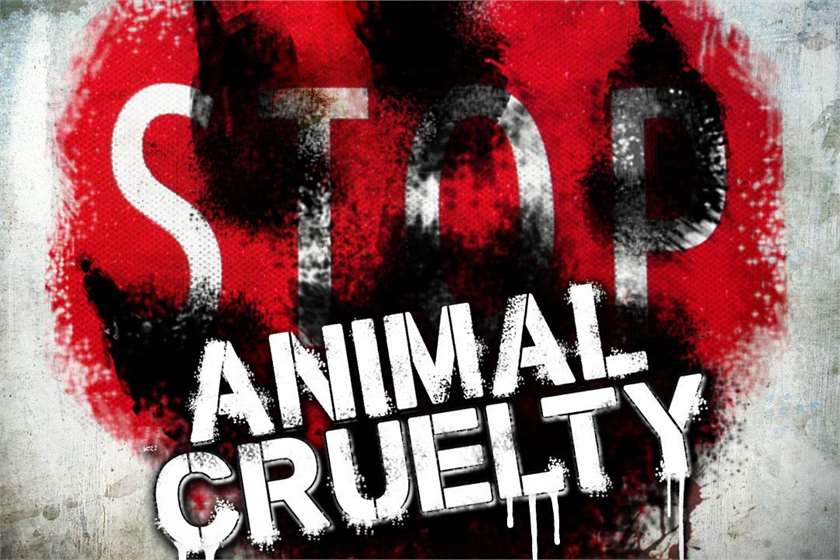 The Animal Abuse is going to be considered as a Felony by FBI