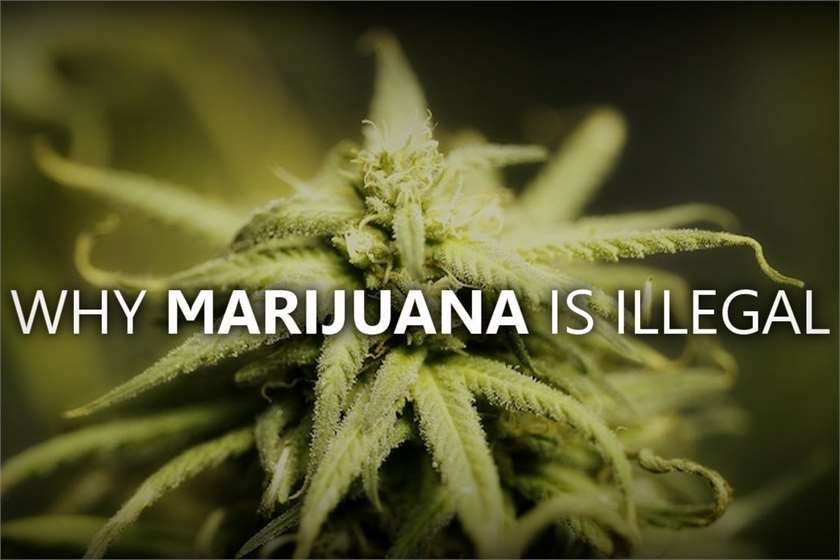 Why Marijuana isn't legal in India ?