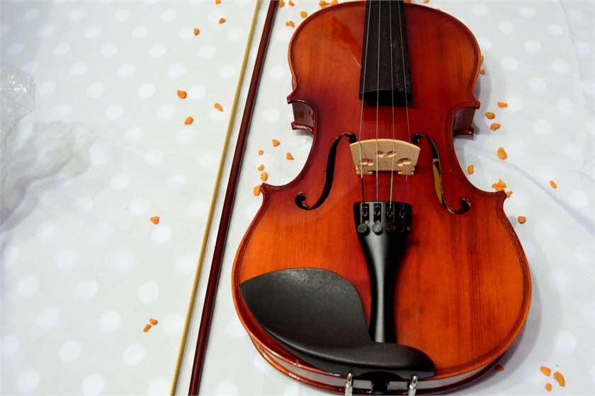 Help Me To Buy Original Violin