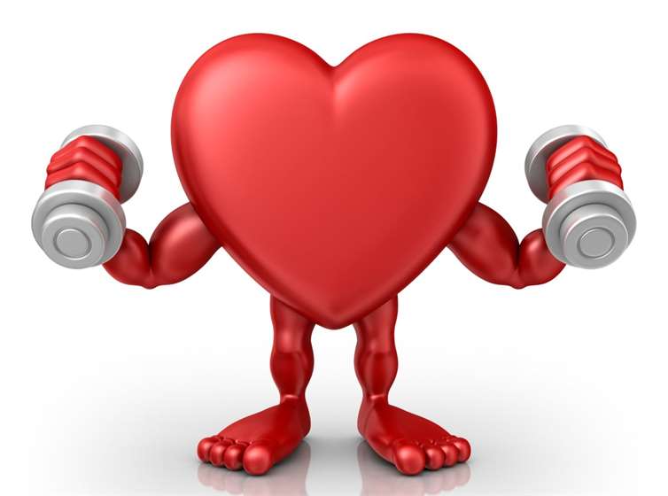 The relationship between heart health and exercise