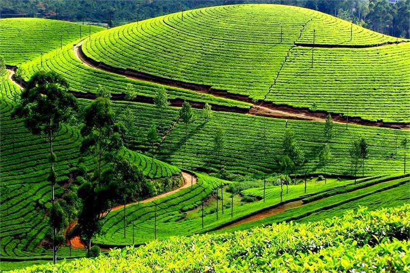 7 Awesome Hill Stations In South India You Cannot Miss Traveling To This Summer