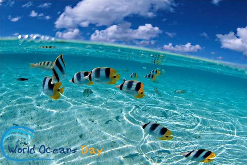 Celebrating #WorldOceansDay 2017