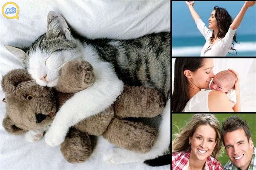 10 Health Benefits of Cuddling You Didn't Know About