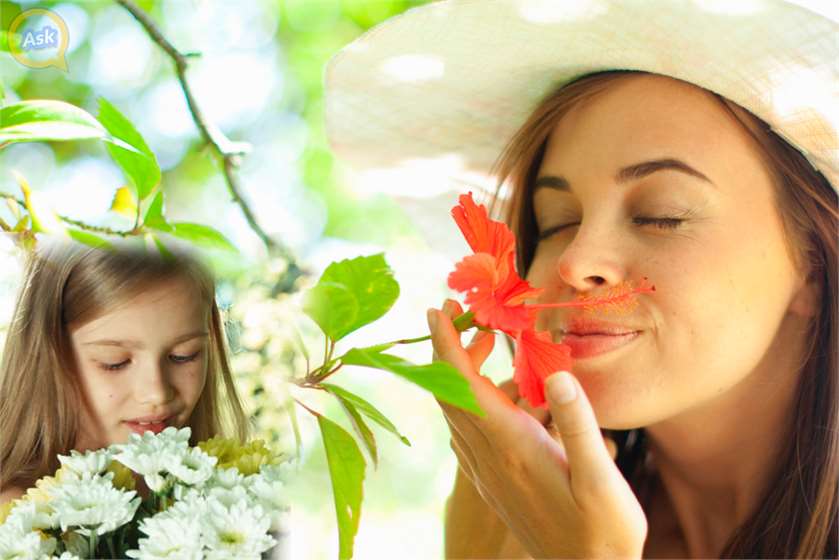 Smelling Or Looking At Flowers Can Make You Happy
