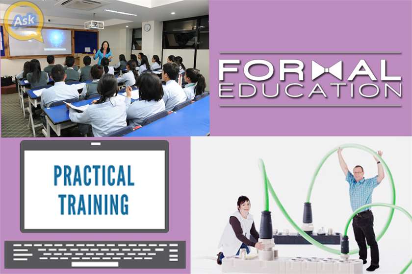 Formal Education Or Practical Training: Which Is The Best Option For You?
