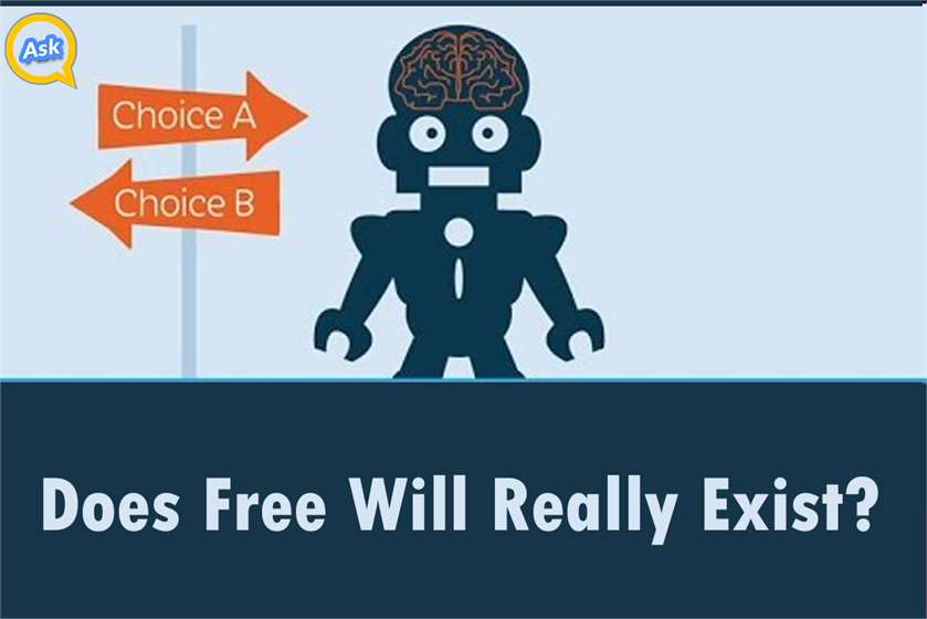 Does Free Will Truly Exist & Are We Truly Free? 