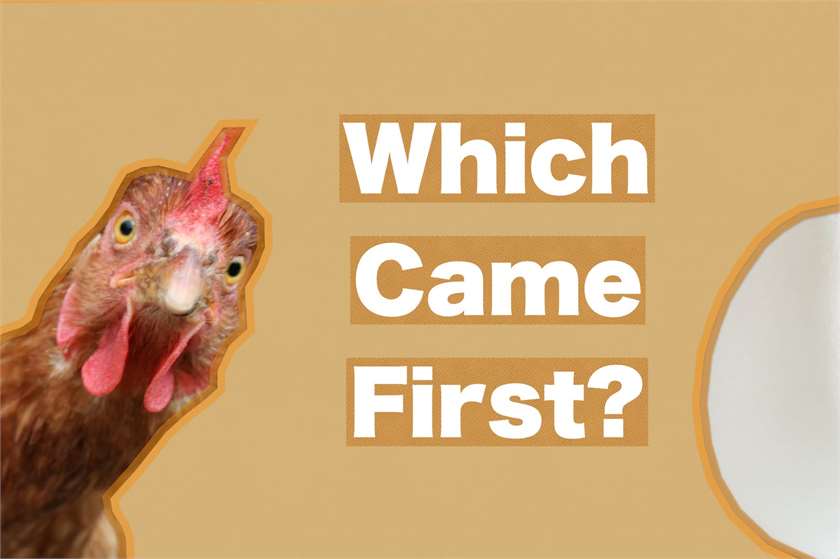 The Egg came First or the Chicken? Here's what Science has to say!