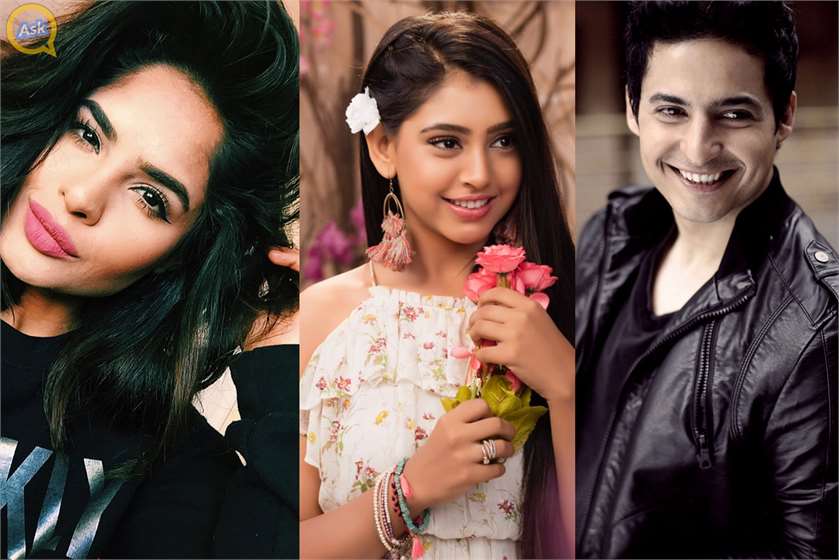 Who will be the Contestants of Big Boss 11?