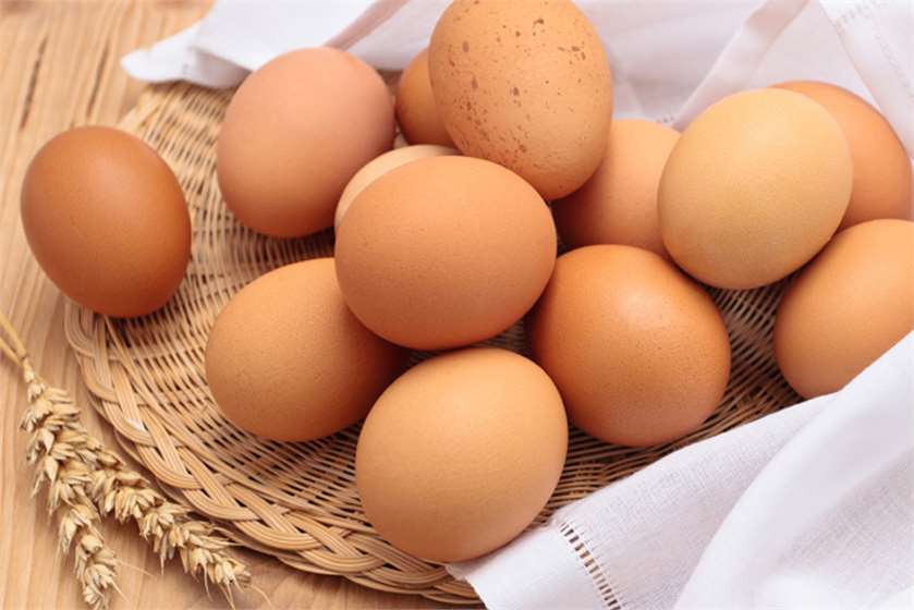 Are Eggs Dairy Product?