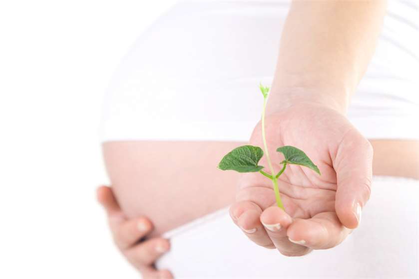 How to Increase Fertility? 