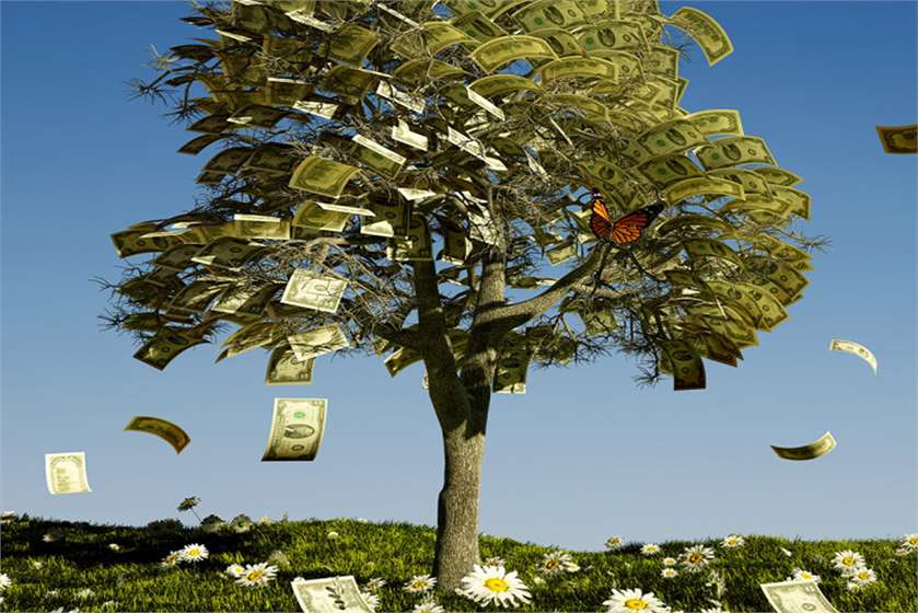 Does Money Grow On Trees?