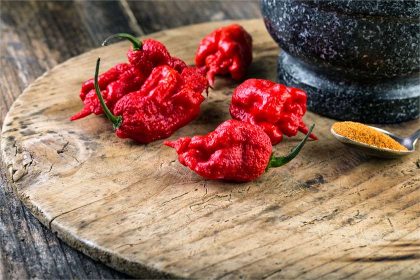 What is the Hottest Pepper in the World?