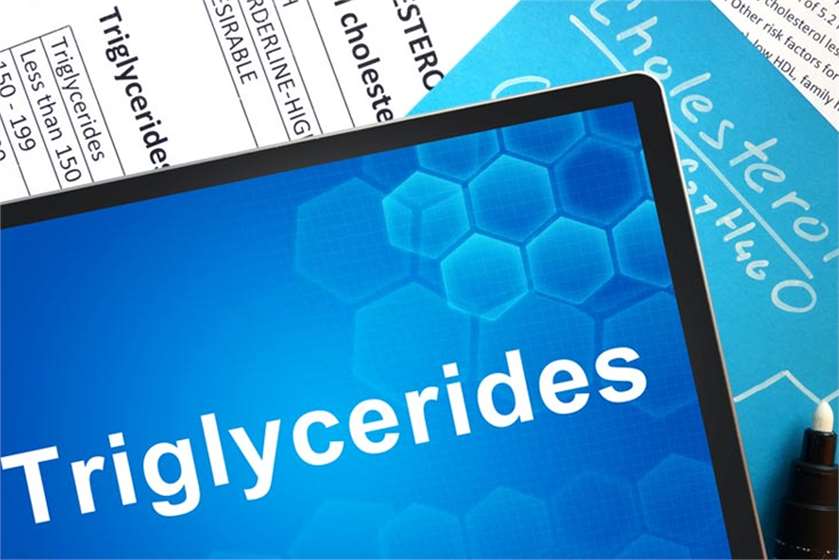 What are Triglycerides?