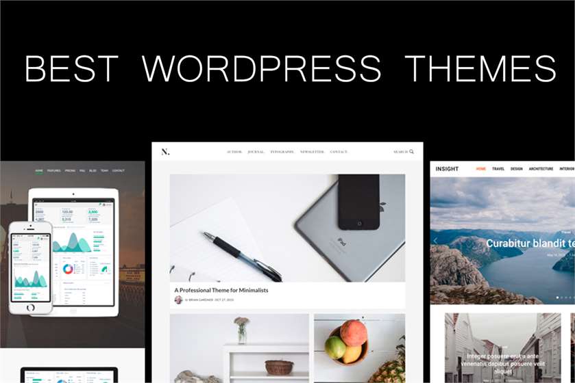 What are the Best Premium Wordpress Themes?