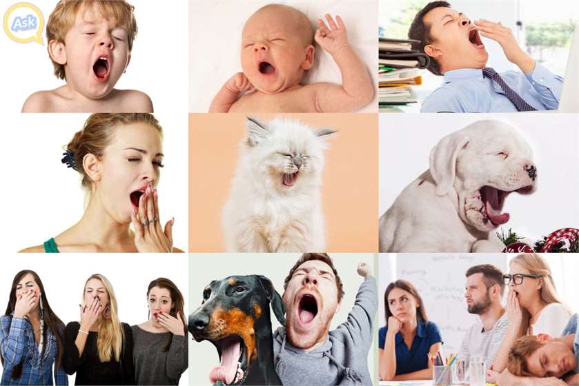 Why Is Yawning Contagious? 