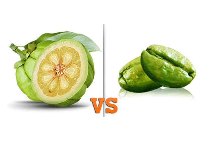 Green Coffee Beans vs. Garcinia Cambogia - Which One is Better? 