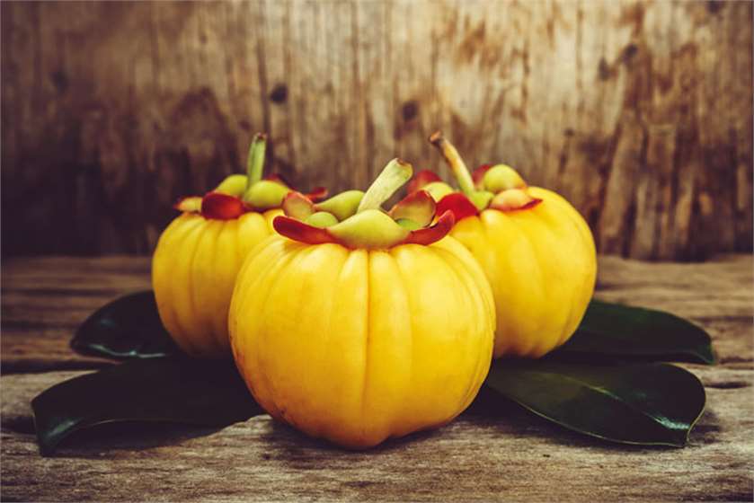 What is Garcinia Cambojia?