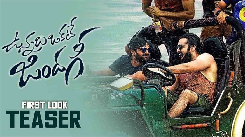 Vunnadhi Okate Zindagi