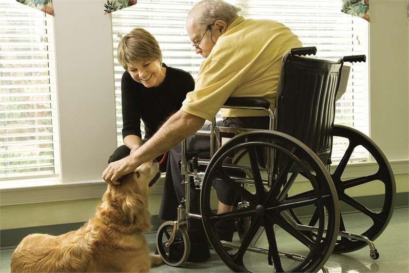 What is Pet Therapy? Can it help in Curing Depression?