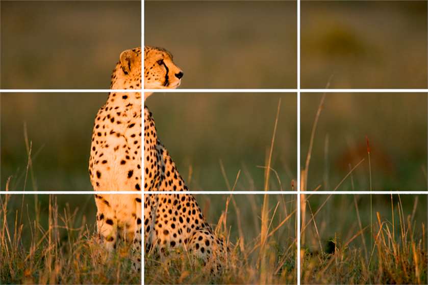 What is Rule of Thirds? 